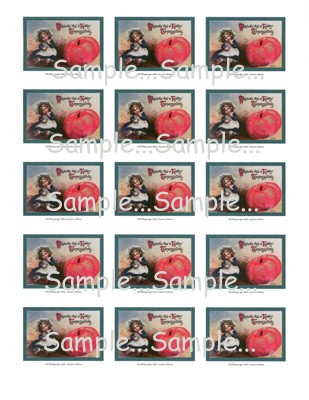 T25 - Happy Thanksgiving Cards - Style 2